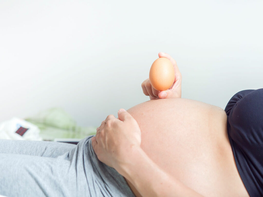 Rol del huevo durante el embarazo para el desarrollo cerebral del feto.